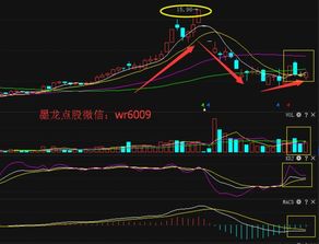 万泽股份这股怎样