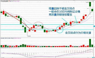 股票中常说的5日线10日线60日线指的是什么？