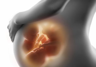 原创怀孕期间，这五件事情孕妇不要做，可能对胎儿造成先天性的影响