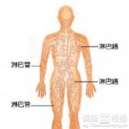 淋巴瘤的全身症状有哪些，淋巴癌的早期症状