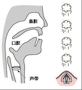 声音嘶哑,当心身体里有 雷