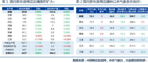 棉花信息网