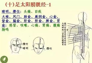 保健锤哪种最好 中医保健锤