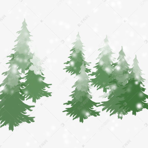 冬天的松树是什么样的,描写冬天松树的词语句子有什么？