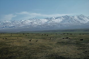 喀什到伊犁多少公里,喀什和伊犁之间的距