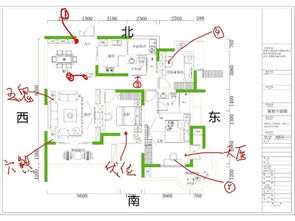 领导座椅摆放方位的风水详解(领导座椅方向)