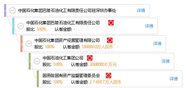 巴陵石油化工有限责任公司的公司简介