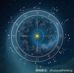 看12星座失恋后吃什么疗伤之射手座