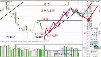 新手问下怎么查询历史个股和板块市盈率