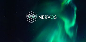  nervos币,ner是一个什么币 元宇宙