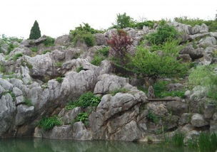 安徽芜湖丫山花海石林