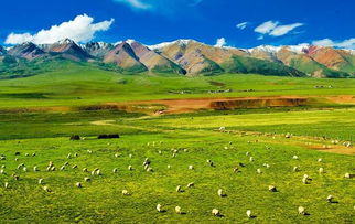 青藏线攻略,青藏线旅游攻略