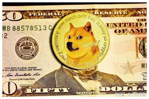  dogecoin币价格今日行情,今天的Dogecoi行情 USDT行情