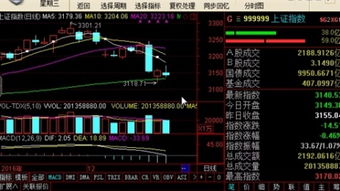 谁知道如何操作才能将ddx选出的个股放入自选股票池中