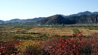 小山村美景