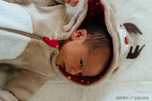 2021年牛宝宝取名,唐诗中寓意有福气有文采的男孩名字