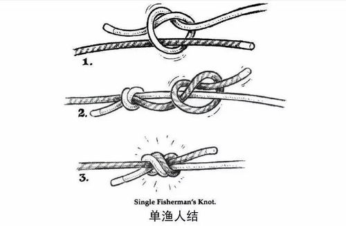 如何成功打个装逼的户外绳结 13种打法攻略请收下
