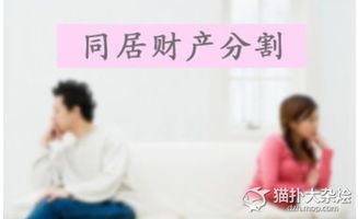 专家建议同居生子女抚养？还是事实来判决