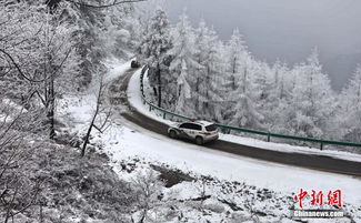 兰州今日天气暴雪预警！兰州即将迎来一场震撼的雪中盛宴！