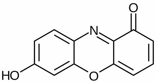 有机化学的大佬们,能具体说说石蕊和花青素是什么类型的有机物吗 