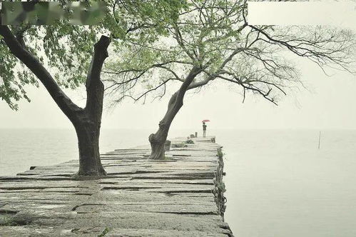 关于苏州雨天的诗句