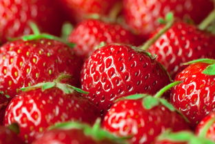 草莓的营养价值 草莓酱的做法秘籍