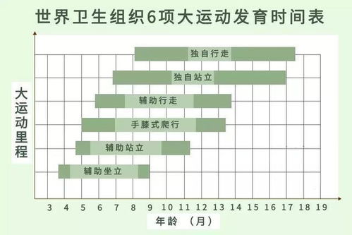 3抬4翻6坐7滚8爬 科学训练宝宝的大运动,让孩子发育好更聪明