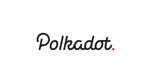 polkadot怎么选