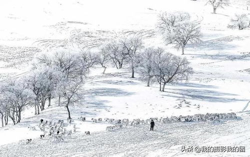 冬季坝上 雪域奔腾 意境摄影线路攻略 收藏版