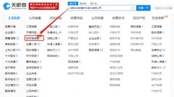 为什么阿里巴巴的股权信息在天眼查上查不到，其他公司的就可以？