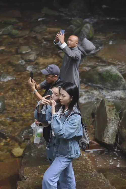 关于美食的现代诗句