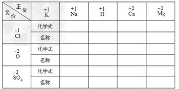 把下表中正价元素和负价元素 或原子团 所组成的化合物的化学式和名称填在相应的空格内 