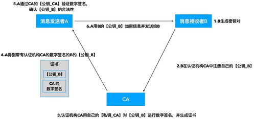 公钥和地址是什么,公钥和私钥的作用是什么