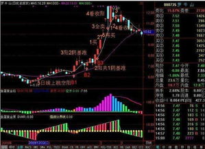 为什么我股票一亏晚上就睡不着，从9月份开始投入将近5万炒到现在亏了1万2吧！因为我是新手以前什么都