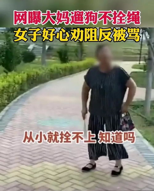 北京大妈遛狗不拴绳,女子差点被咬,劝阻反遭骂 从小就拴不上绳