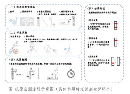 新冠病毒抗原自测咋操作 擤去鼻涕,拭子深入鼻孔贴鼻腔转4圈以上