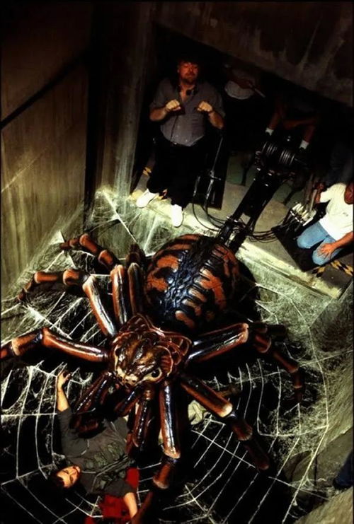 天蛛地灭2高清完整版,蜘蛛入侵的毁灭性威胁。的海报