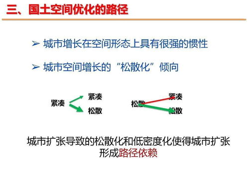 PPT分享 焦利民教授 新时代国土空间优化的路径和方法