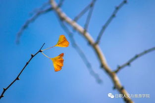 雨色秋来寒(雨色秋来寒风袭的意思)