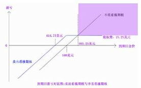 黄金期权的黄金期权合约