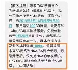 查重包括附录数据吗？一文解答您的疑惑