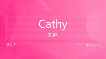 cathy什么意思,英语CATHY中文什么意思-第3张图片