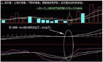 听说钱龙的技术指标挺准的，那看大盘主力资金，用哪个技术指标？