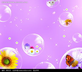 透明泡泡里的花朵构成的紫色图片 