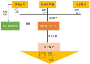 率先引入战略投资者的AMC是？