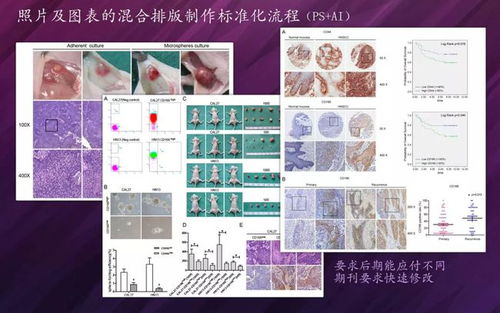 原来CELL上漂亮的插图及图表是这样做出来的 内含SCI作图规范