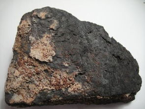 最珍贵碳质球粒陨石