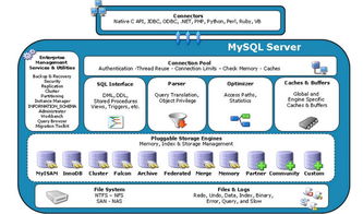 mysql中check约束字符的要求(alter table语句与check约束冲突)