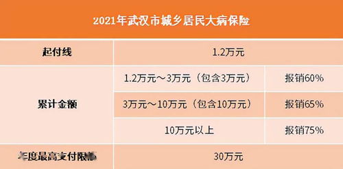 大连24元大病险取消了吗(大连市医疗保险大病保险)