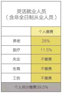 自由职业者可以用无忧保缴纳社保吗?